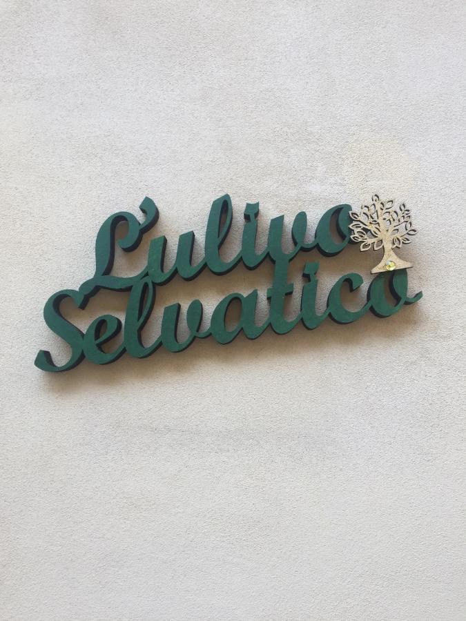 Holiday home L'ulivo Selvatico